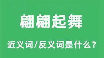 翩翩起舞的近义词_翩翩起舞AABC词语