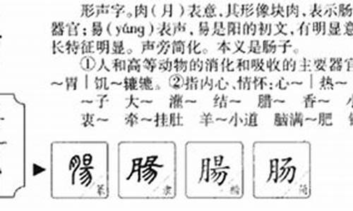 肠字组词_醋字组词